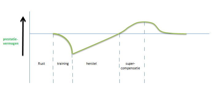 Grafiek Supercompensatie