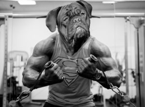 Fabels krachttraining